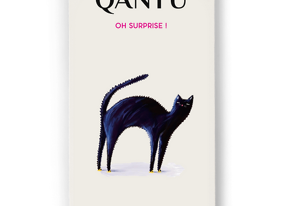 Qantu - Oh Surprise Lait sans Sucre 65%